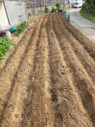 들깨19622님의 자유주제 · 자유게시판 작성글 사진