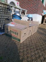 팜모닝 자유주제·자유게시판 게시글 이미지