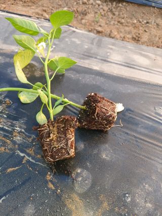 박태원님의 자유주제 · 자유게시판 작성글 사진