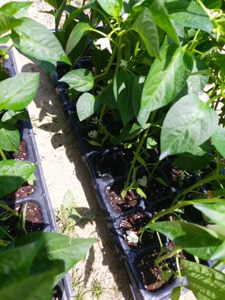 박태원님의 자유주제 · 자유게시판 작성글 사진