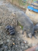 팜모닝 자유주제·사진전 게시글 이미지