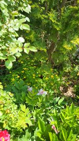 팜모닝 자유주제·자유게시판 게시글 이미지