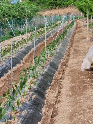 이창훈님의 자유주제 · 자유게시판 작성글 사진