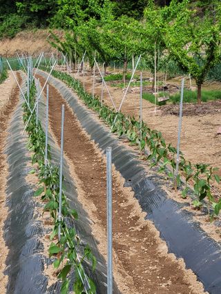 이창훈님의 자유주제 · 자유게시판 작성글 사진