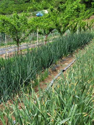 이창훈님의 자유주제 · 자유게시판 작성글 사진