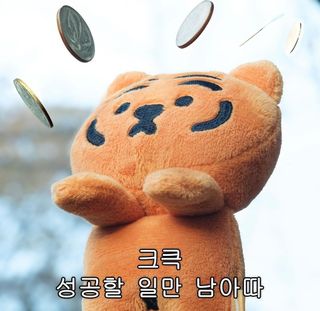 진.님의 자유주제 · 자유게시판 작성글 사진