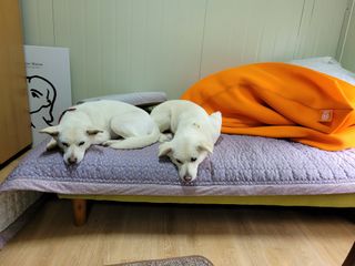 유병선(김천자두)님의 자유주제 · 자유게시판 작성글 사진