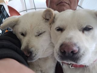 유병선(김천자두)님의 자유주제 · 자유게시판 작성글 사진