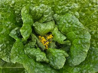 포도21806님의 자유주제 · 자유게시판 작성글 사진