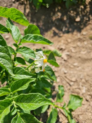 farmer님의 자유주제 · 자유게시판 작성글 사진