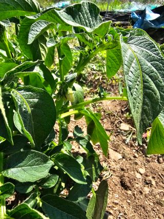 farmer님의 자유주제 · 자유게시판 작성글 사진