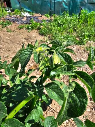 farmer님의 자유주제 · 자유게시판 작성글 사진