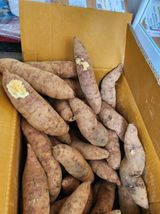 팜모닝 자유주제·건의해요 게시글 이미지