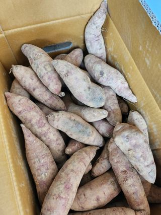 김중근님의 자유주제 · 건의해요 작성글 사진