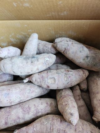 김중근님의 자유주제 · 건의해요 작성글 사진