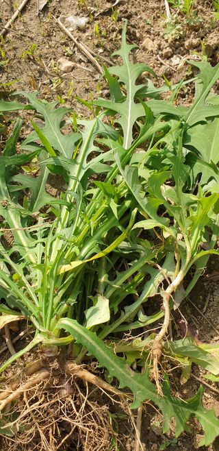 박선화님의 자유주제 · 자유게시판 작성글 사진