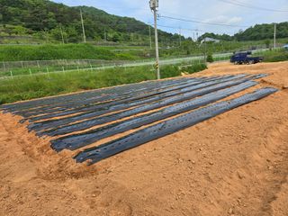 이양호님의 5월 농사계획 공유하기 · 참여글 작성글 사진