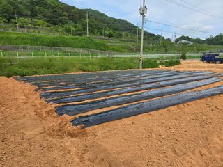 이양호님의 5월 농사계획 공유하기 · 참여글 작성글 사진