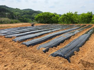 이양호님의 5월 농사계획 공유하기 · 참여글 작성글 사진