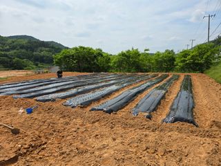 이양호님의 5월 농사계획 공유하기 · 참여글 작성글 사진