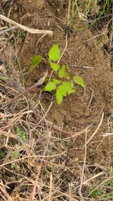 팜모닝 자유주제·사진전 게시글 이미지