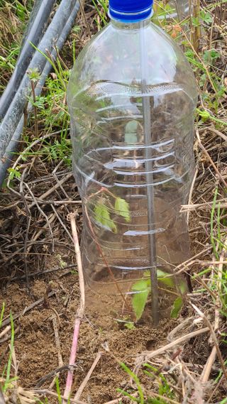 마운틴님의 자유주제 · 사진전 작성글 사진