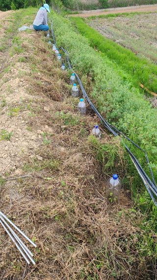 마운틴님의 자유주제 · 사진전 작성글 사진