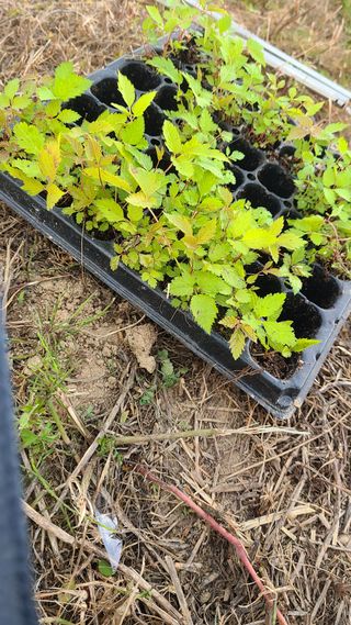 마운틴님의 자유주제 · 사진전 작성글 사진