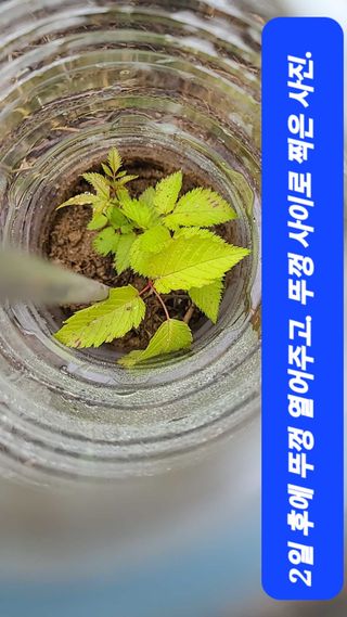 마운틴님의 자유주제 · 사진전 작성글 사진