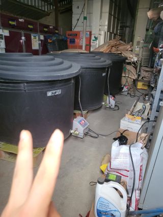 김영진(전남영광)님의 벼 · 자유게시판 작성글 사진