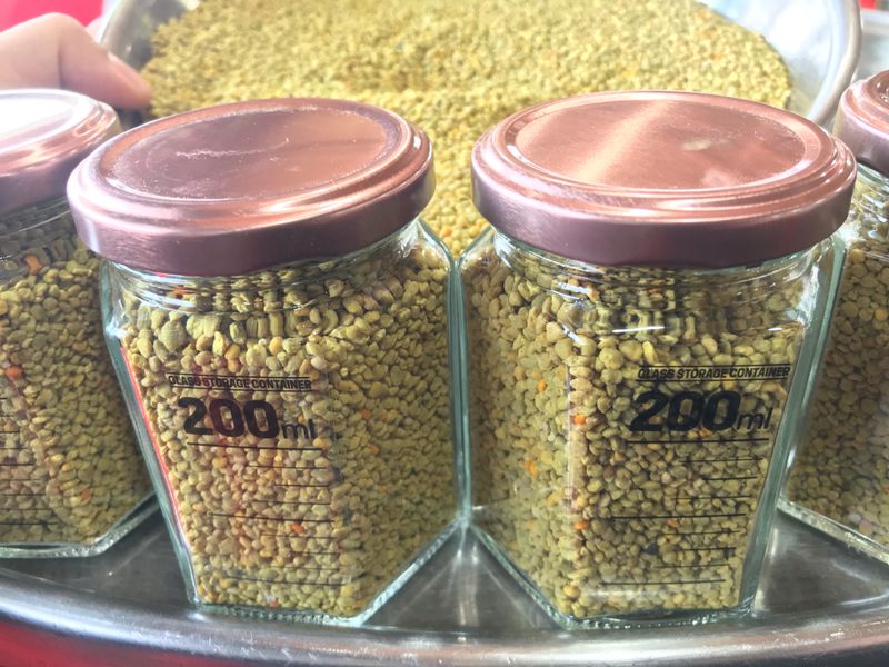 장터 상품 [2024년 햇 도토리 벌 화분 140g (3+1행사) ] 썸네일