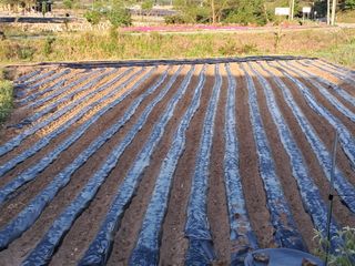 홍천.서석.안민기님의 자유주제 · 자유게시판 작성글 사진