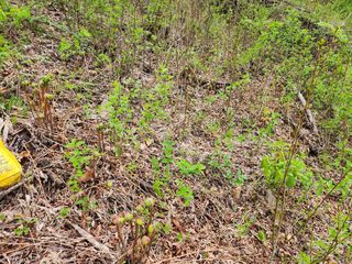 조상희님의 자유주제 · 자유게시판 작성글 사진