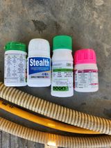 팜모닝 포도·병해충상담 게시글 이미지