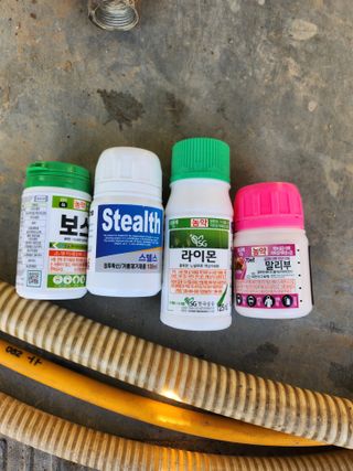 칠공언더님의 포도 · 병해충상담 작성글 사진