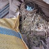 팜모닝 자유주제·자유게시판 게시글 이미지