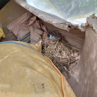 이종권님의 자유주제 · 자유게시판 작성글 사진