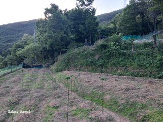 살구장수님의 자유주제 · 자유게시판 작성글 사진