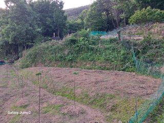 살구장수님의 자유주제 · 자유게시판 작성글 사진