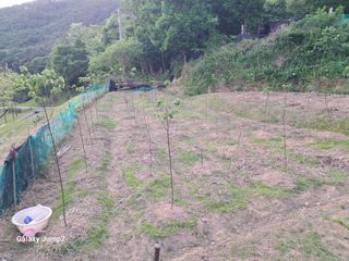 살구장수님의 자유주제 · 자유게시판 작성글 사진