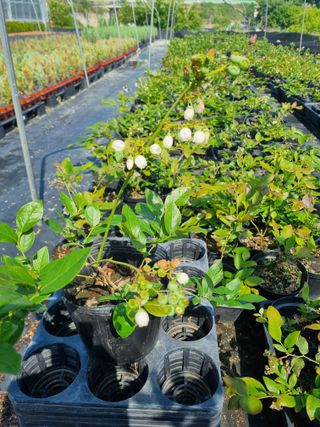 행복한나무농장님의 자유주제 · 사진전 작성글 사진