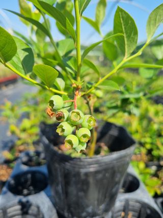 행복한나무농장님의 자유주제 · 사진전 작성글 사진