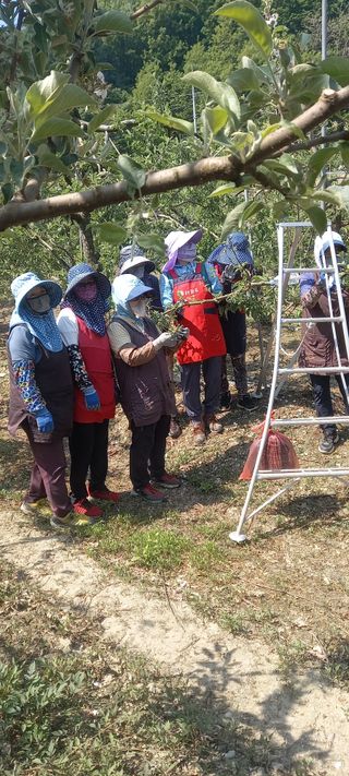 강성분님의 5월 농사계획 공유하기 · 참여글 작성글 사진