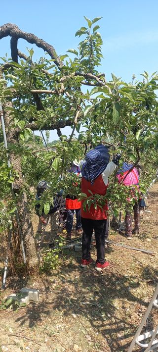 강성분님의 5월 농사계획 공유하기 · 참여글 작성글 사진