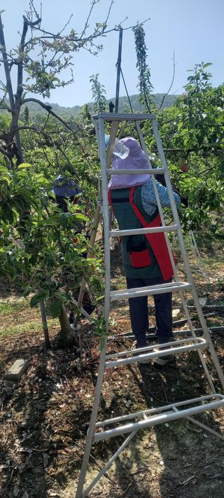 강성분님의 5월 농사계획 공유하기 · 참여글 작성글 사진