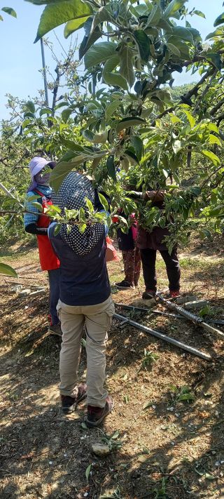 강성분님의 5월 농사계획 공유하기 · 참여글 작성글 사진