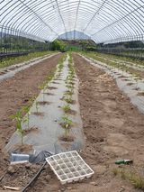 팜모닝 자유주제·자유게시판 게시글 이미지