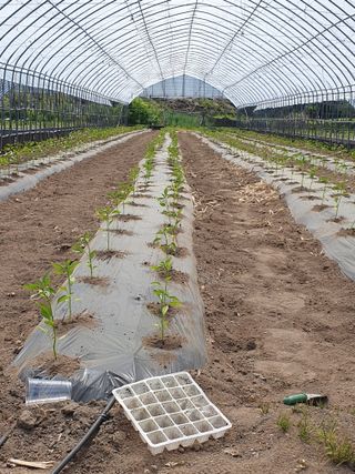 호박19950님의 자유주제 · 자유게시판 작성글 사진