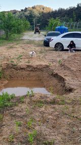 팜모닝 5월 농사계획 공유하기·참여글 게시글 이미지