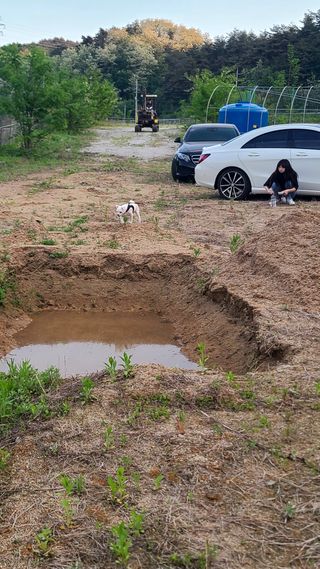 강릉 농사초보자님의 5월 농사계획 공유하기 · 참여글 작성글 사진